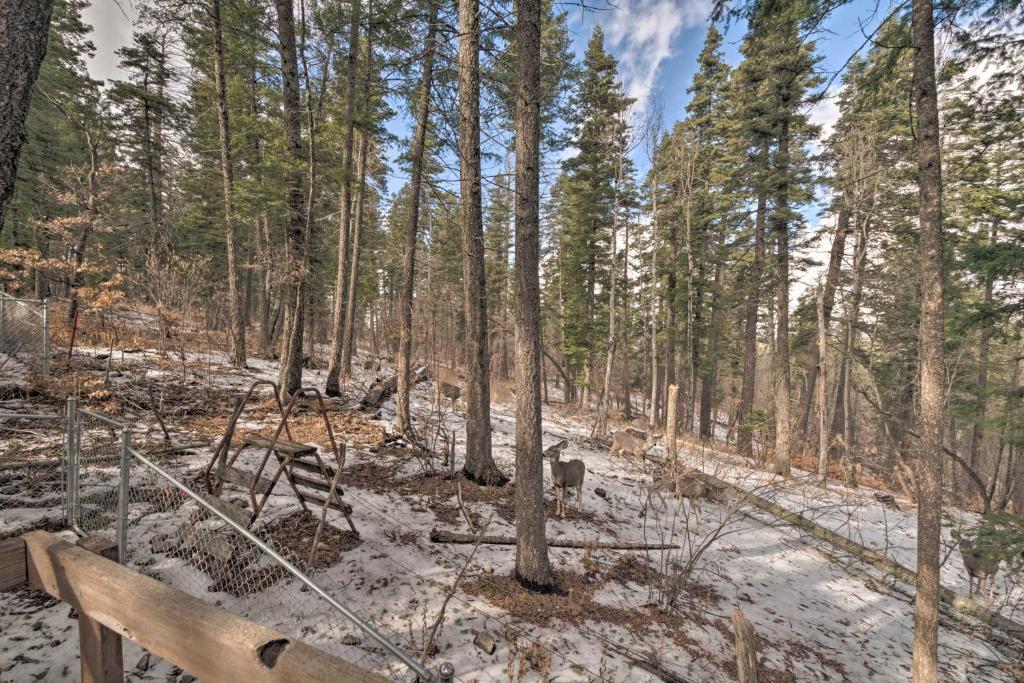 Heavens Gate at Edge of Town By Ski Cloudcroft! - image 2