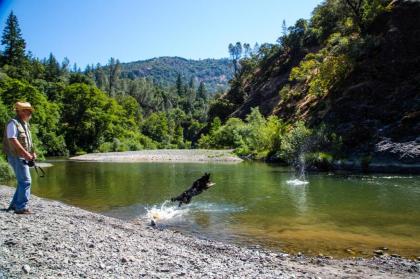 Russian River Camping Resort One-Bedroom Cabin 2 - image 11