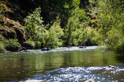 Russian River Camping Resort One-Bedroom Cabin 2 - image 7