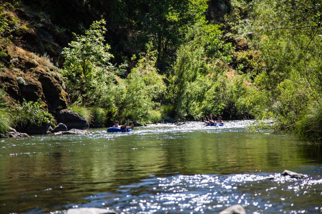 Russian River Camping Resort Studio Cabin 4 - image 6