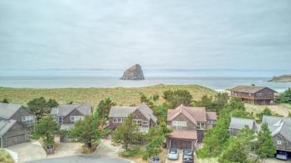 Dune Grass Oregon