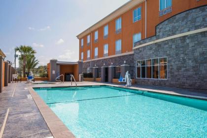 Holiday Inn Express Hotel & Suites Clute-Lake Jackson an IHG Hotel - image 12