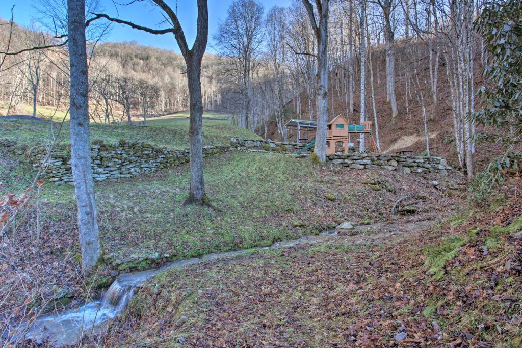 Turkey Creek Cove Cabin in Clyde with Fire Pit - main image