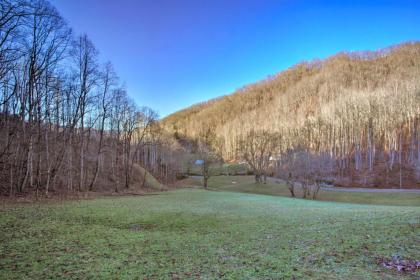 Turkey Creek Cove Cabin in Clyde with Fire Pit - image 10