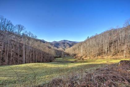 Turkey Creek Cove Cabin in Clyde with Fire Pit - image 3