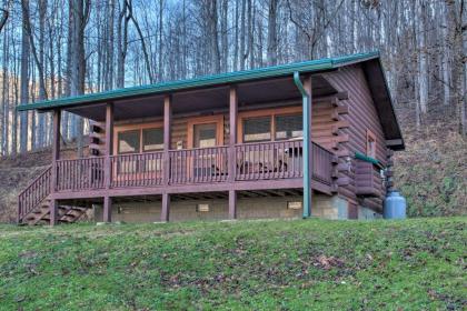 Turkey Creek Cove Cabin in Clyde with Fire Pit - image 9