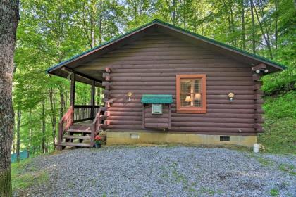 Cabin 18 Mi to Smoky Mountains National Park! - image 11