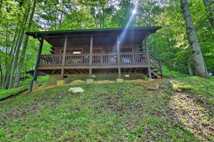 Cabin 18 Mi to Smoky Mountains National Park! - image 8