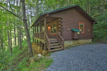 Clyde Cabin with Porch - Mins to Smoky Mountains - image 13