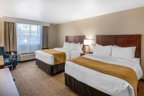 Comfort Inn & Suites I-90 City Center - image 3