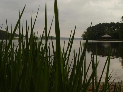 Frankston Home with Deck and Fishing on Lake Palestine! - image 12