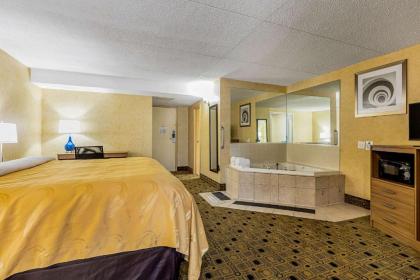 Quality Inn & Suites Coldwater - image 14