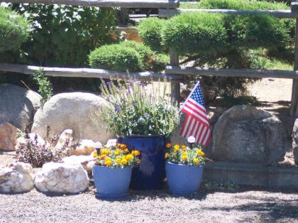 Toiyabe Motel - image 13