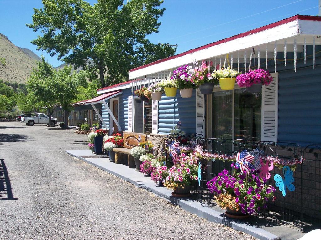 Toiyabe Motel - image 3