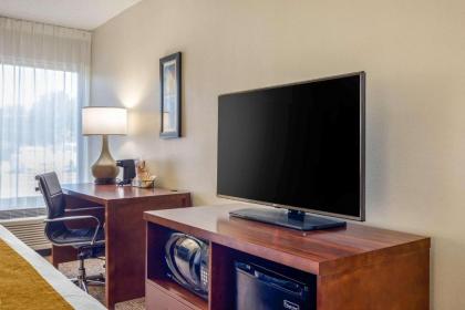 Comfort Inn Atlanta Airport - image 10