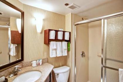 Hampton Inn College Station-Near Texas A&M University - image 5