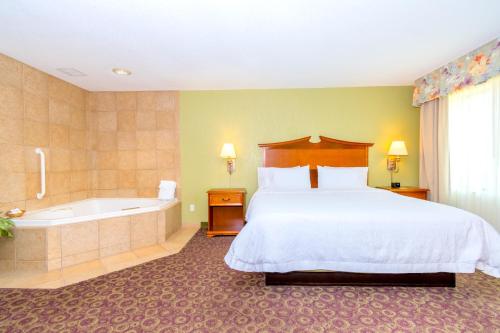 Hampton Inn & Suites College Station - image 5