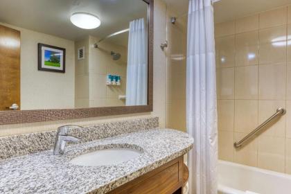 Drury Inn and Suites St Louis Collinsville - image 14