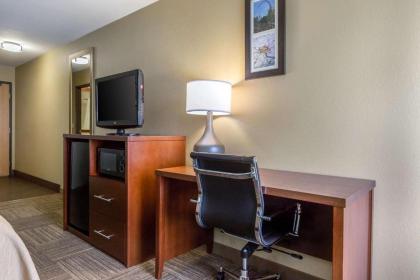 Comfort Inn Collinsville - image 13