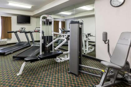 Comfort Inn Collinsville - image 14