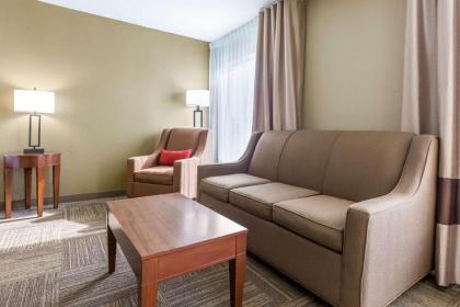 Comfort Inn Collinsville - image 15