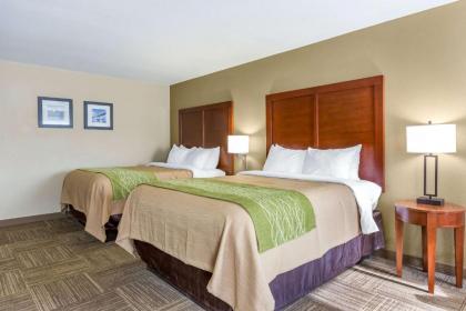 Comfort Inn Collinsville - image 3