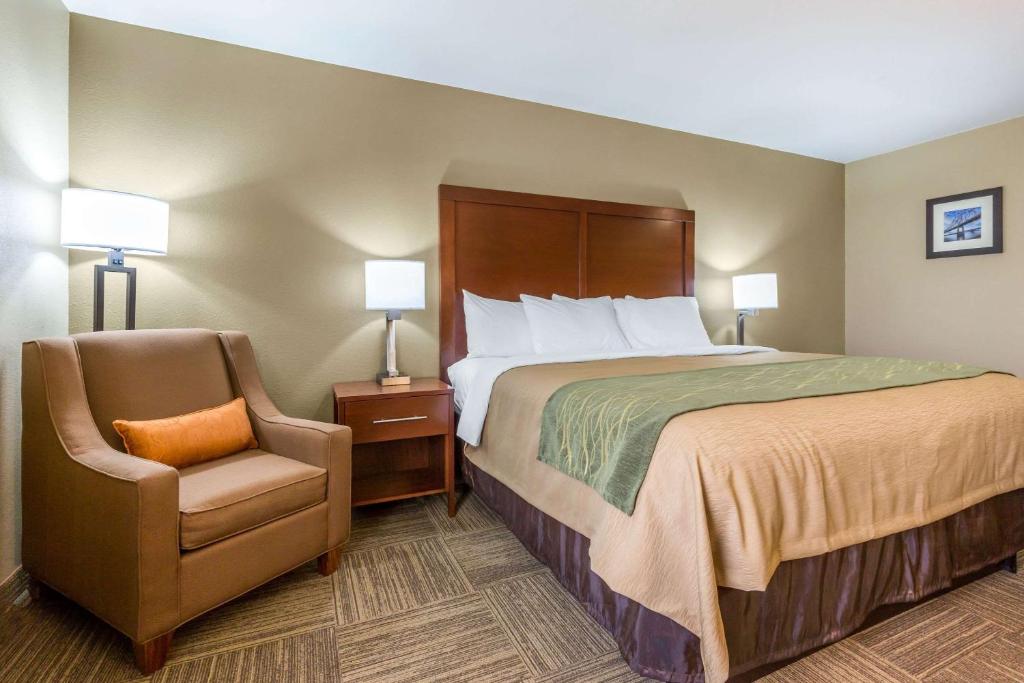 Comfort Inn Collinsville - image 5