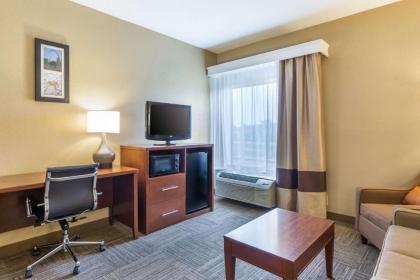 Comfort Inn Collinsville - image 6