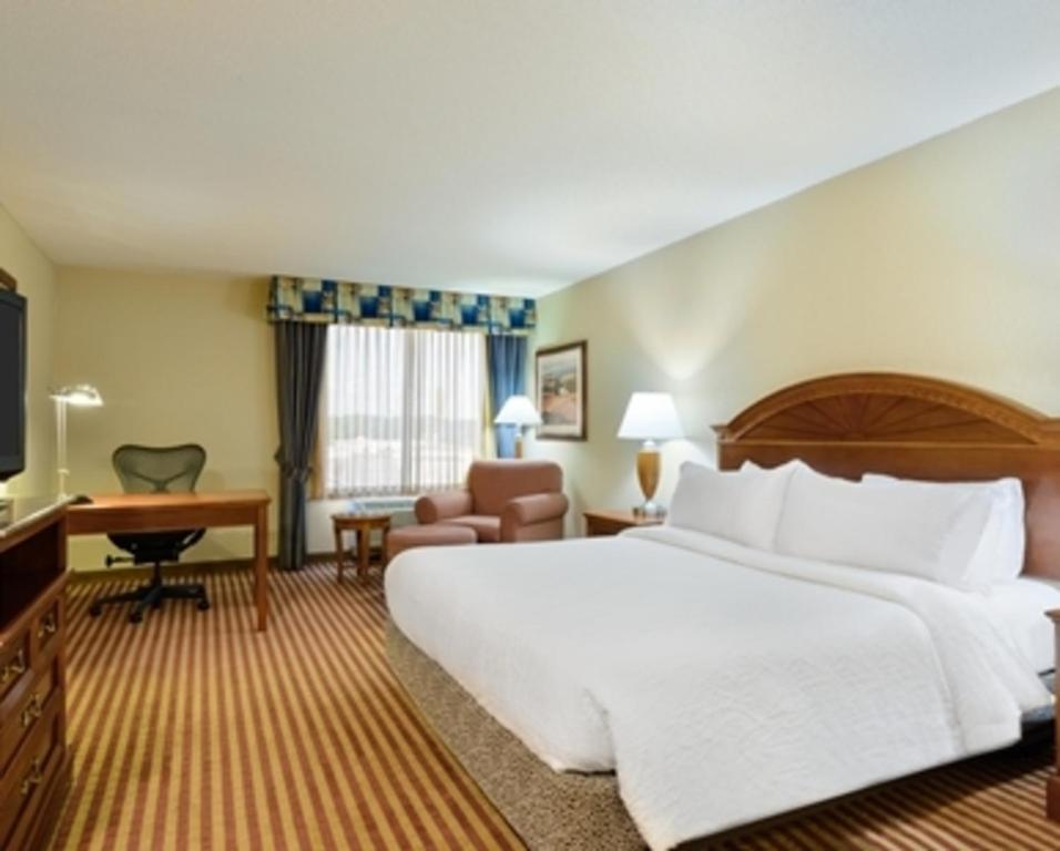 Hilton Garden Inn Richmond South/Southpark - main image