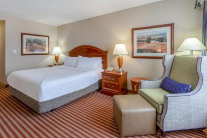 Hilton Garden Inn Richmond South/Southpark - image 12