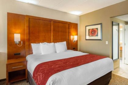 Comfort Suites Southpark - image 2