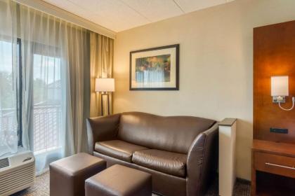 Comfort Suites Southpark - image 7