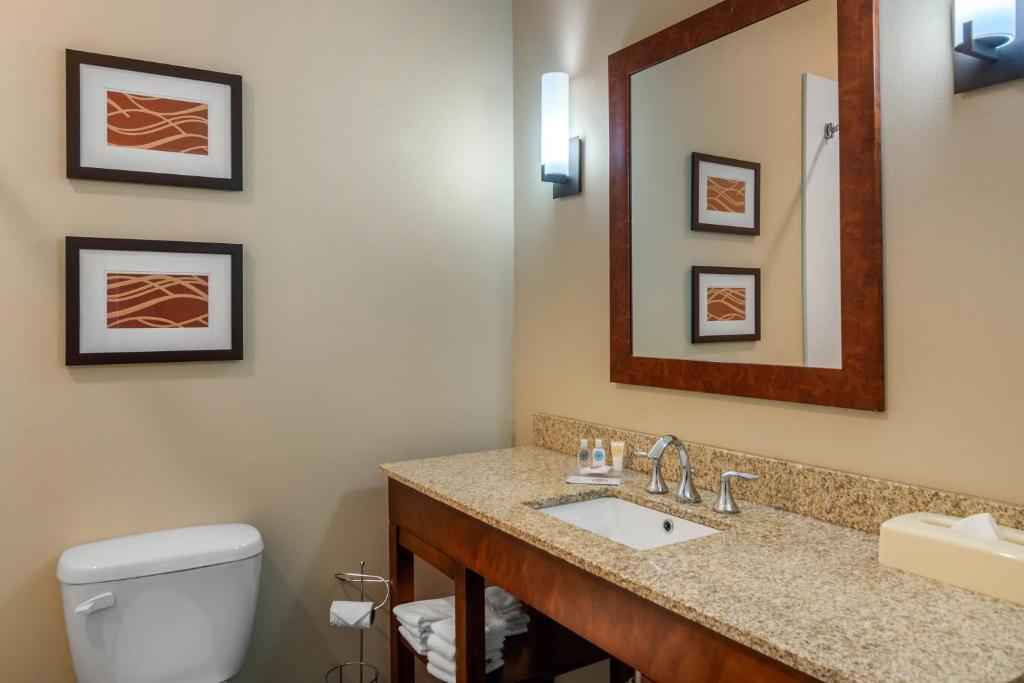 Comfort Inn South Chesterfield - Colonial Heights - image 2