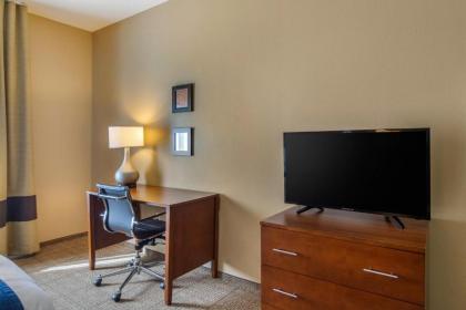 Comfort Inn South Chesterfield - Colonial Heights - image 3