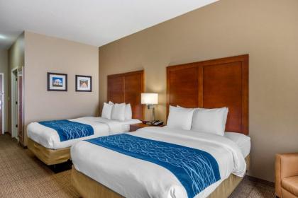 Comfort Inn South Chesterfield - Colonial Heights - image 8