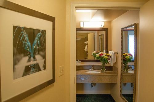 SpringHill Suites by Marriott Colorado Springs South - image 2