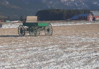 Glacier Acres Guest Ranch - image 4