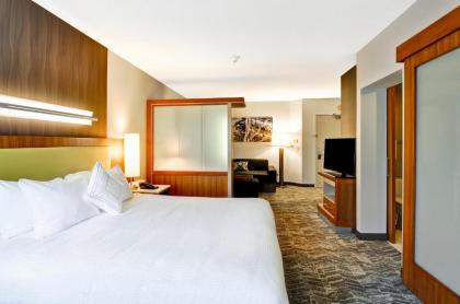 SpringHill Suites by Marriott Columbia - image 12