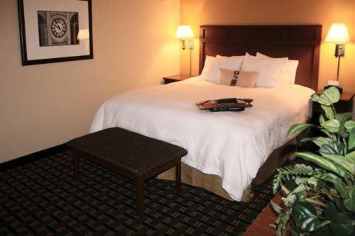 Hampton Inn & Suites Columbia at the University of Missouri - image 2