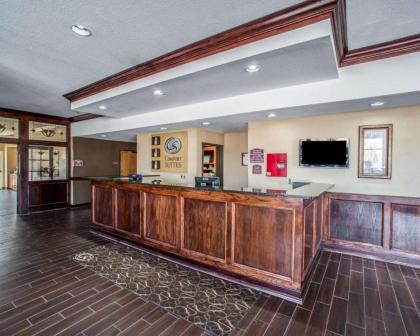 Comfort Suites Columbia - image 12