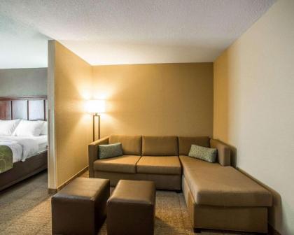 Comfort Suites Columbia - image 15