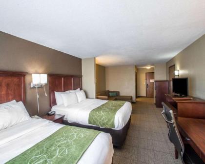 Comfort Suites Columbia - image 4