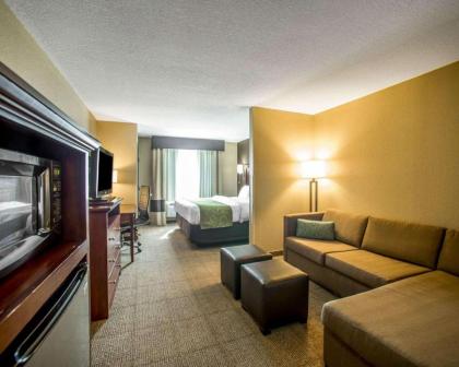 Comfort Suites Columbia - image 8