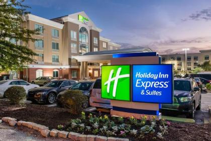 Holiday Inn Express & Suites Columbia-I-26 @ Harbison Blvd an IHG Hotel - image 15