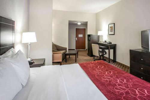 Comfort Suites Columbia Northeast - Fort Jackson - image 3