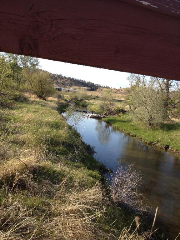 Yellowstone River Lodge and Cabins - image 3