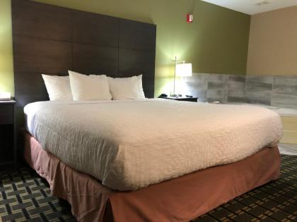 Boarders Inn & Suites by Cobblestone Hotels – Columbus - image 13