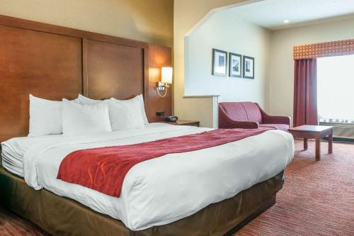 Comfort Suites Columbus - image 4