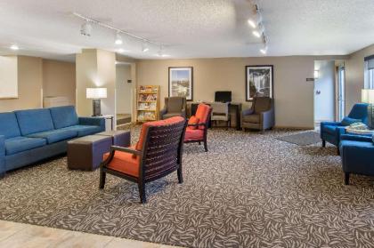 Comfort Inn - image 2