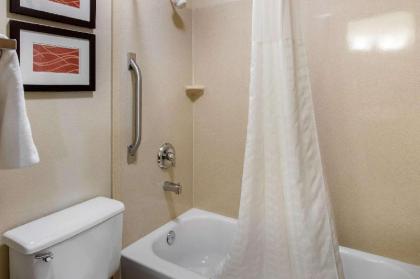 Comfort Inn - image 5